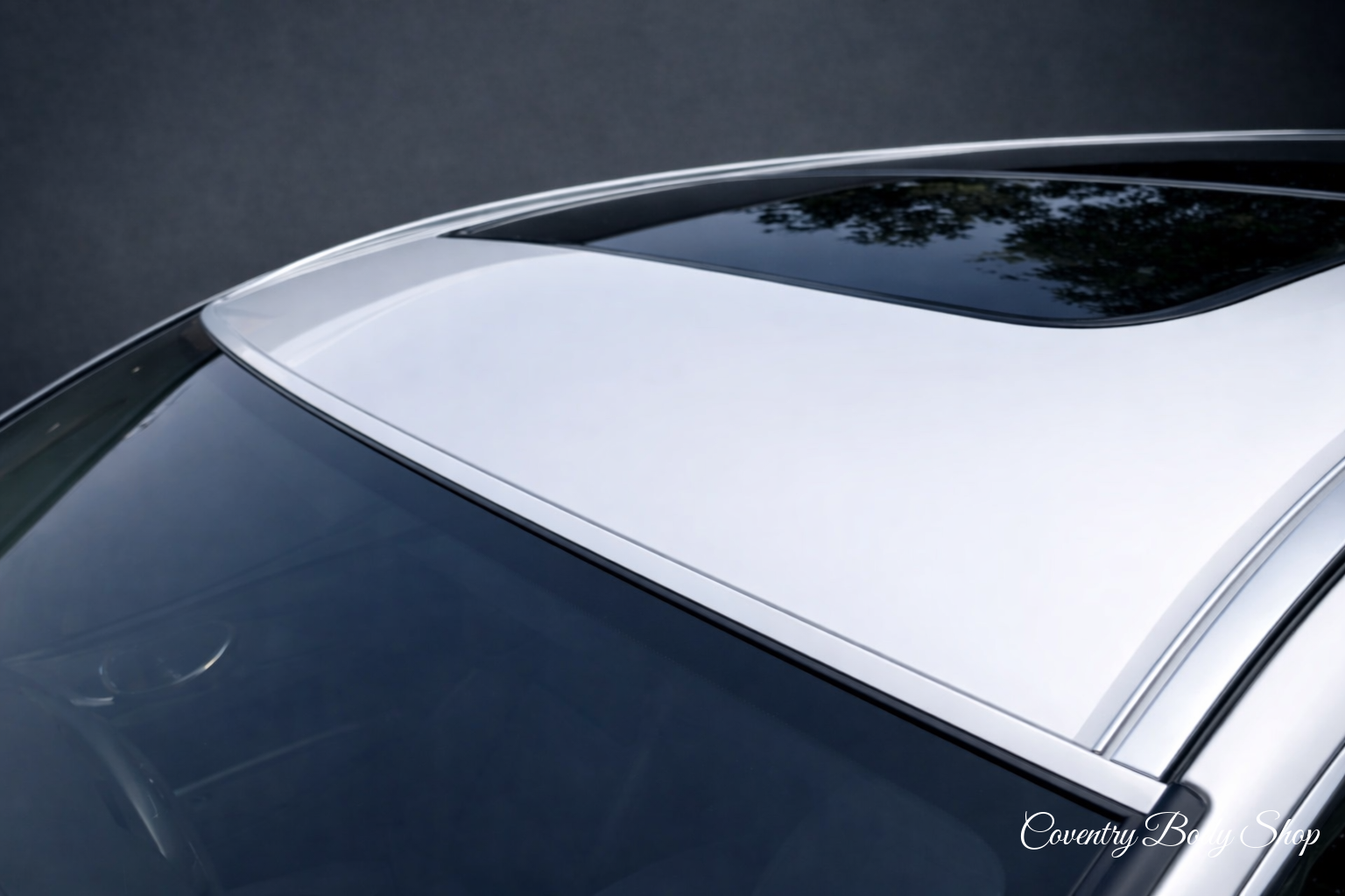 Car Body Paint (Single Panel)